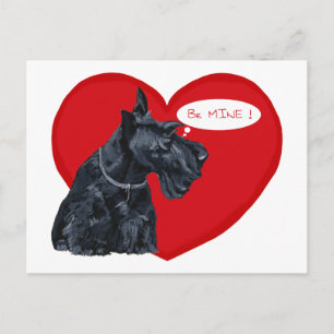 Scottish Terrier Valentine Feiertagspostkarte