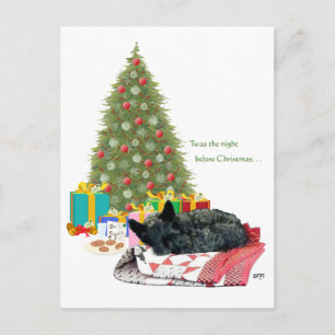Scottish Terrier Weihnachtsschläfchen Feiertagspostkarte