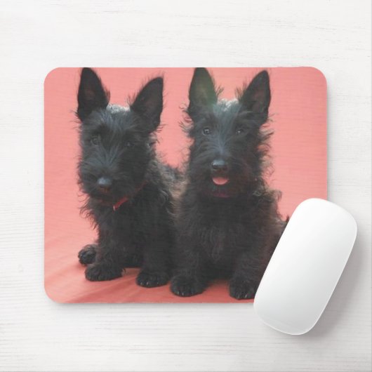 Scottish-Terrier-Welpen mousepad (Mit Mouse)