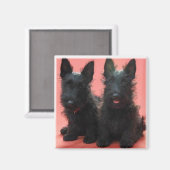 Scottish Terrier Welpenmagnet Magnet (Vorderseite/Rückseite)
