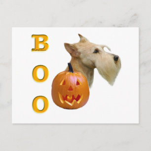 Scottish Terrier (Wheaten) Boo Postkarte