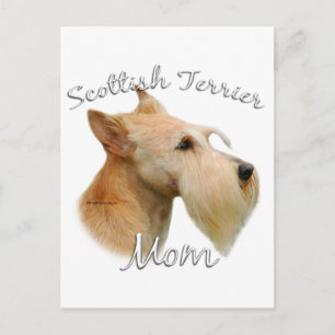Scottish Terrier (Wheaten) Mama 2 Postkarte