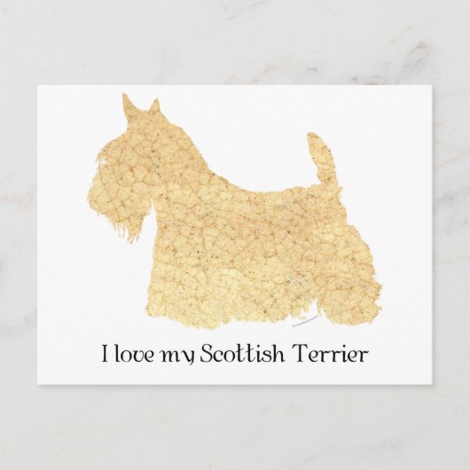 Scottish Terrier Wheaten Silhouette Postkarte (Vorderseite)