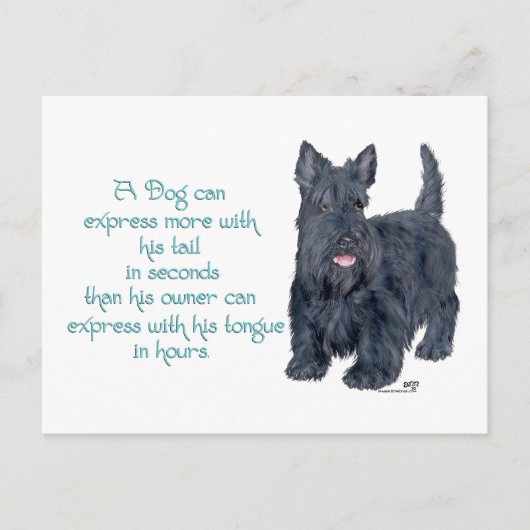 Scottish Terrier Wit & Wisdom - Talking Postkarte (Vorderseite)