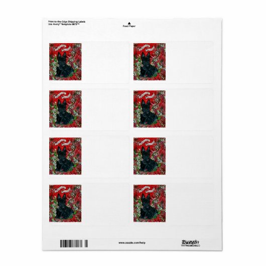 Scottish Terrier Xmas (Vorne)