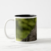 Scottish Terrier Zweifarbige Tasse (Links)