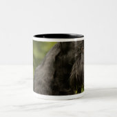 Scottish Terrier Zweifarbige Tasse (Mittel)