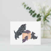 Scottish Terriers Grape Harvest Postkarte (Stehend Vorderseite)