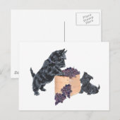 Scottish Terriers Grape Harvest Postkarte (Vorne/Hinten)
