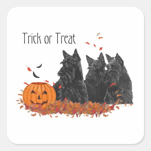 Scottish Terriers Halloween Quadratischer Aufkleber (Vorderseite)
