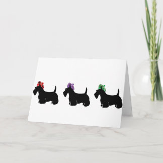 Scottish Terriers in Fun Colored Kariert Hat Karte