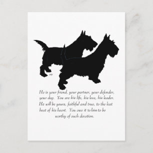 Scottish Terriers Keepake - MALE Hunde Postkarte