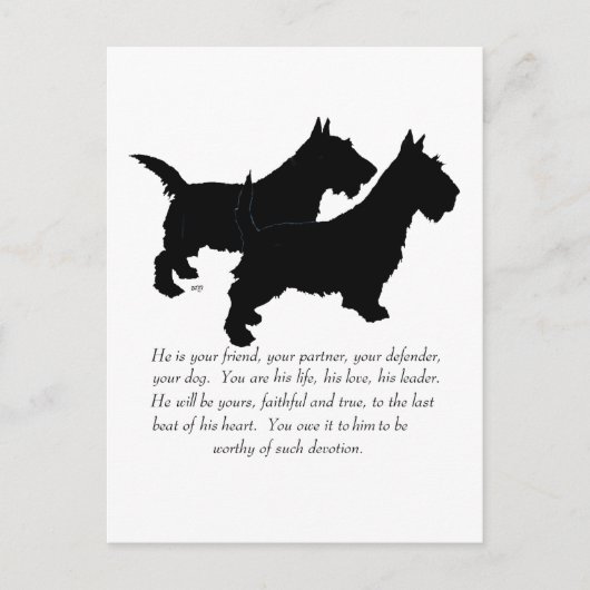 Scottish Terriers Keepake - MALE Hunde Postkarte (Vorderseite)