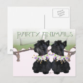Scottish Terriers Party Animal Postkarte (Vorne/Hinten)