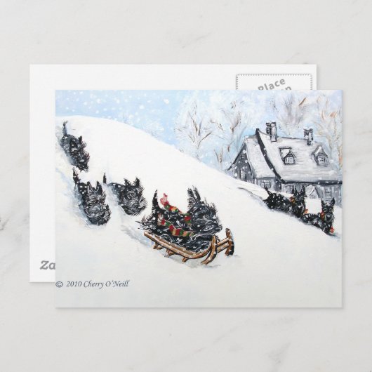 Scottish Terriers Sledding Postkarte (Vorne/Hinten)