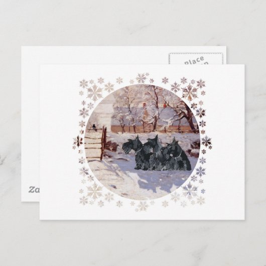 Scottish Terriers Winter Magpie Postkarte (Vorne/Hinten)