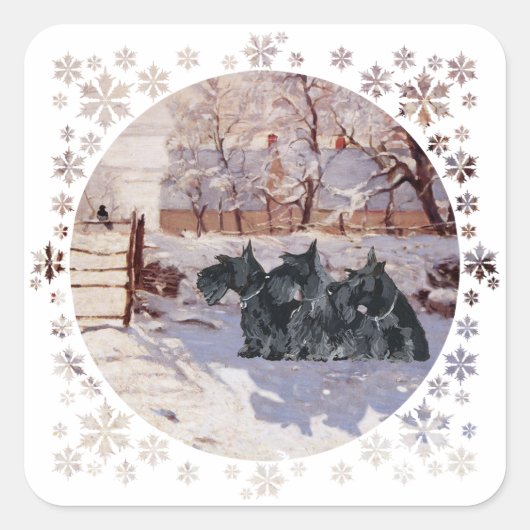 Scottish Terriers Winter Magpie Quadratischer Aufkleber (Vorderseite)