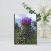 Scottish Thistle Fine Art Fotografy Postkarte (Stehend Vorderseite)