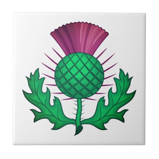 Scottish Thistle Fliese (Vorderseite)