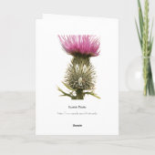 Scottish Thistle Greetings Card Karte (Rückseite)