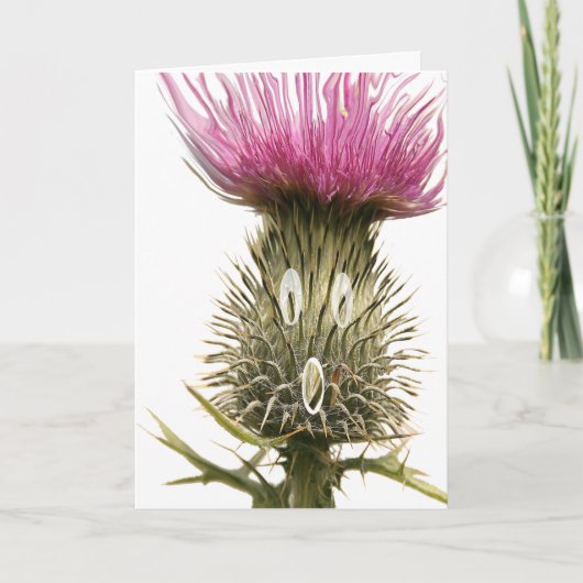 Scottish Thistle Greetings Card Karte (Vorderseite)
