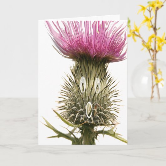 Scottish Thistle Greetings Card Karte (Gelbe Blume)