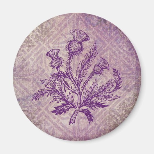 Scottish Thistle Lila Celtic Knot Magnet (Vorne)