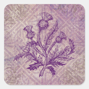 Scottish Thistle Lila Celtic Knot Quadratischer Aufkleber