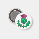 Scottish Thistle Magnet (Vorderseite/Rückseite)