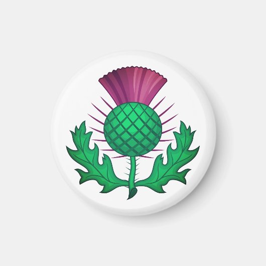 Scottish Thistle Magnet (Vorne)