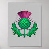 Scottish Thistle Poster (Vorne)