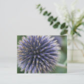Scottish Thistle Postkarte (Stehend Vorderseite)