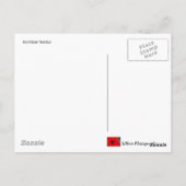 Scottish Thistle Postkarte (Rückseite)