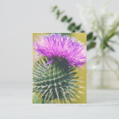 Scottish Thistle Postkarte (Stehend Vorderseite)