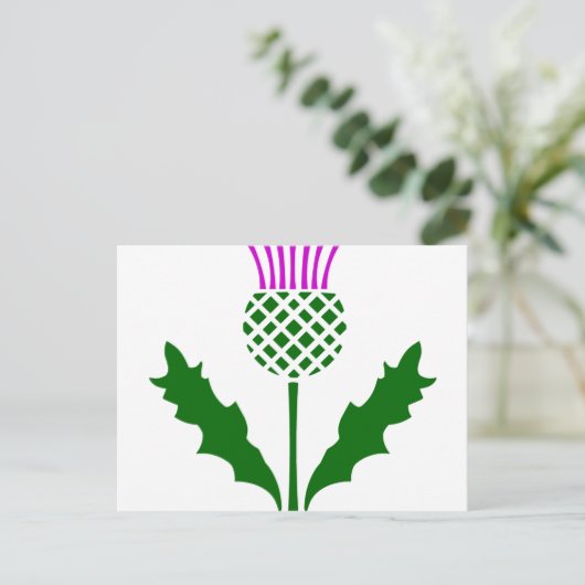 Scottish Thistle Postkarte (Stehend Vorderseite)
