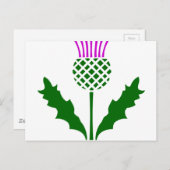 Scottish Thistle Postkarte (Vorne/Hinten)