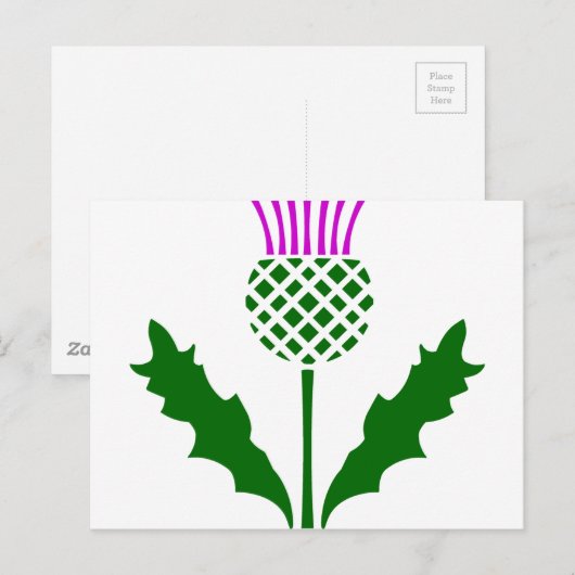Scottish Thistle Postkarte (Vorne/Hinten)