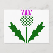 Scottish Thistle Postkarte (Vorderseite)