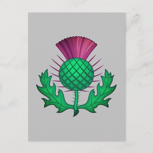 Scottish Thistle Postkarte (Vorderseite)