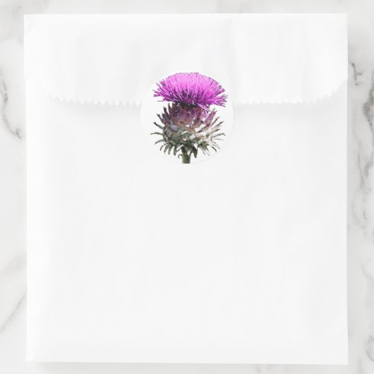 Scottish Thistle Runder Aufkleber (Tasche)