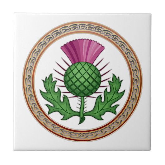 Scottish Thistle Symbol Abzeichen Fliese (Vorderseite)
