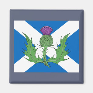 Scottish Thistle und Salreifen Magnet