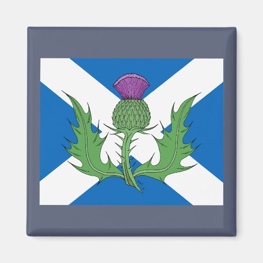 Scottish Thistle und Salreifen Magnet (Vorne)