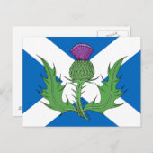 Scottish Thistle und Salreifen Postkarte (Vorne/Hinten)