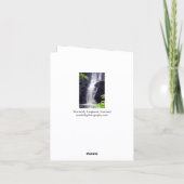 Scottish Waterfall Greeting card Karte (Rückseite)