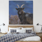 Scottish Wild Goat Leinwanddruck (Insitu (Schlafzimmer))