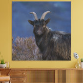 Scottish Wild Goat Leinwanddruck (Insitu (Wohnzimmer))