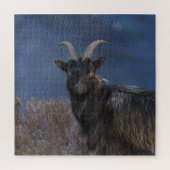 Scottish Wild Goat Puzzle (Vertikal)