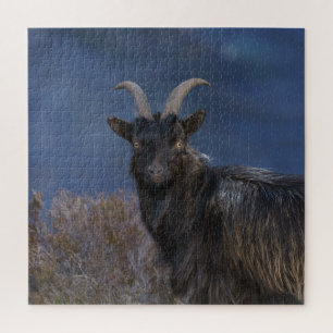 Scottish Wild Goat Puzzle