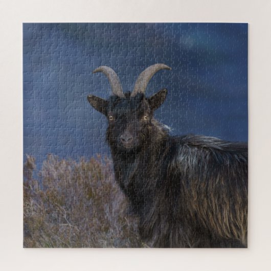 Scottish Wild Goat Puzzle (Vertikal)